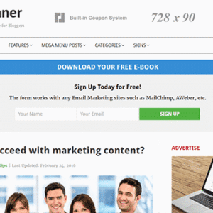 Theme Junkie Beginner WordPress Theme Download